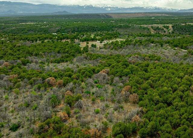Property at 850 Canyon Ridge Rd, Montrose, CO 81403