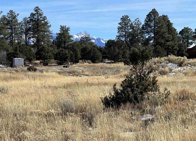 Property at TBD (lot 328) Bear Cub Dr, Ridgway, CO 81432