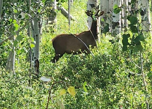 Property at TBD Zs Rd, Whitewater, CO 81527