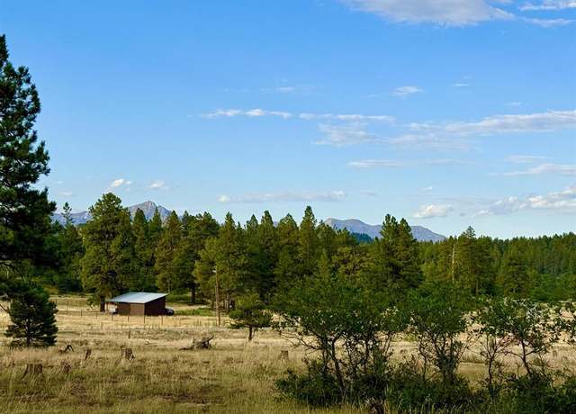Property at 532 Old Sawmill Cir, Pagosa Springs, CO 81147