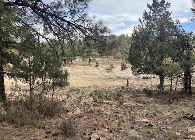 Property at TBD White Tail Ln, Ridgway, CO 81432