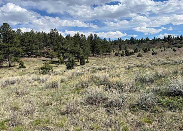 Property at TBD White Tail Ln, Ridgway, CO 81432