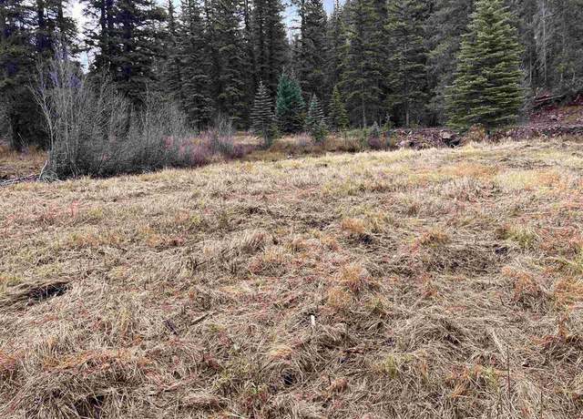 Property at TBD 11th St, Pitkin, CO 81241