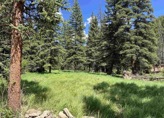 Property at TBD 11th St, Pitkin, CO 81241