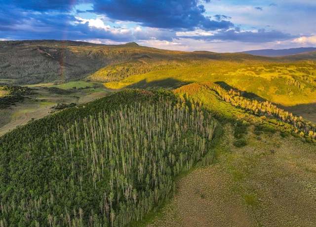 Property at 000 Cr 849, Somerset, CO 81434
