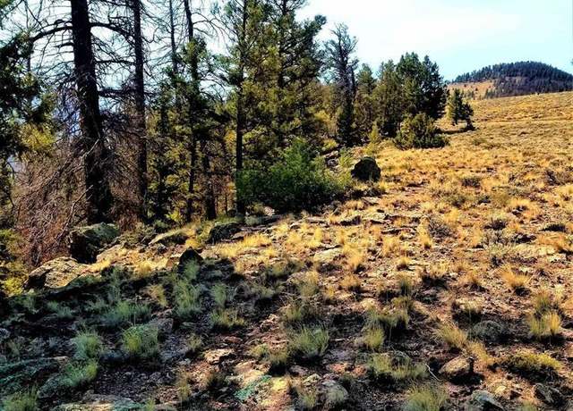 Property at 294 Schofield Trl, Powderhorn, CO 81243