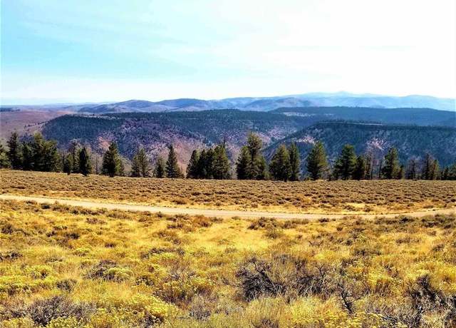 Property at 210 Schofield Trl, Powderhorn, CO 81243