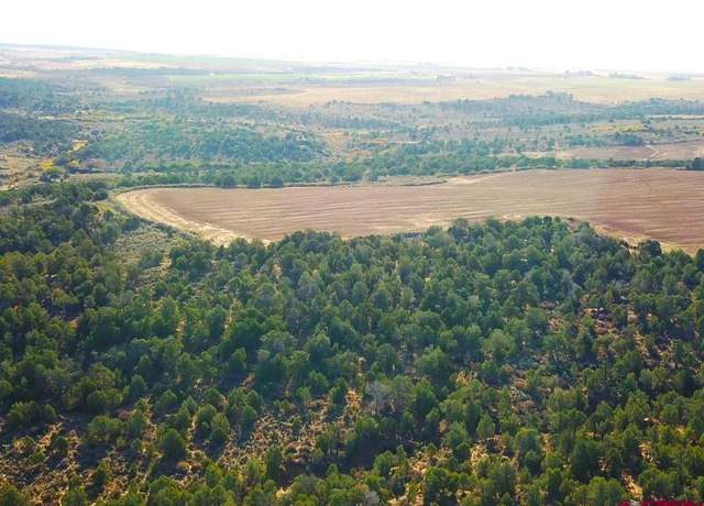 Property at 27502 Road 12, Pleasant View, CO 81331