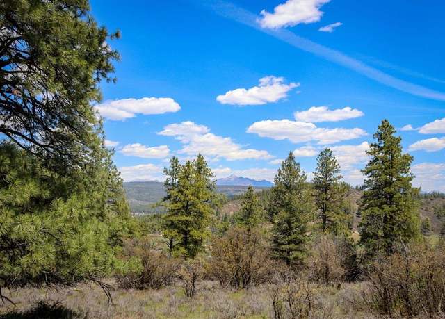 Property at 1025 Bobs Pl, Pagosa Springs, CO 81147