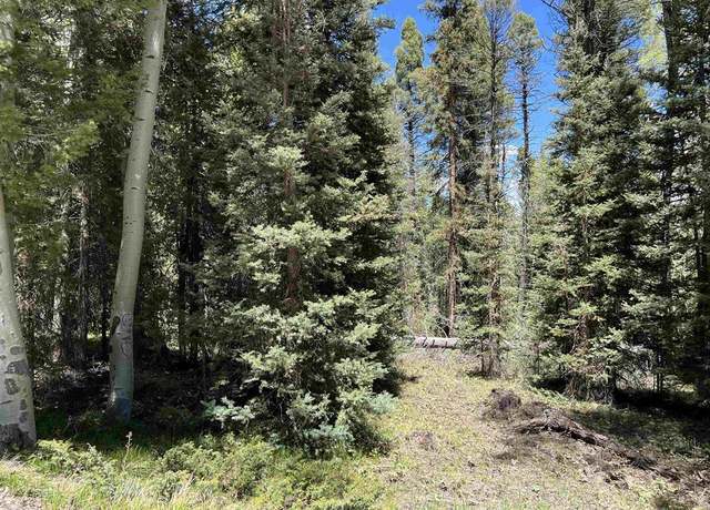 Property at 423 Rim Rd, Cimarron, CO 81220