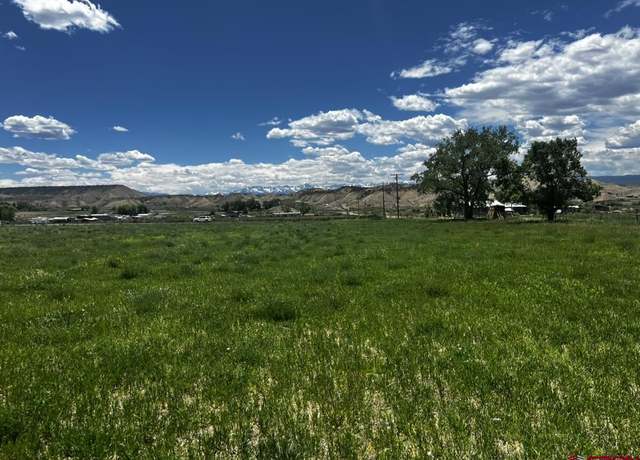 Property at TBD Racine Rd, Montrose, CO 81401