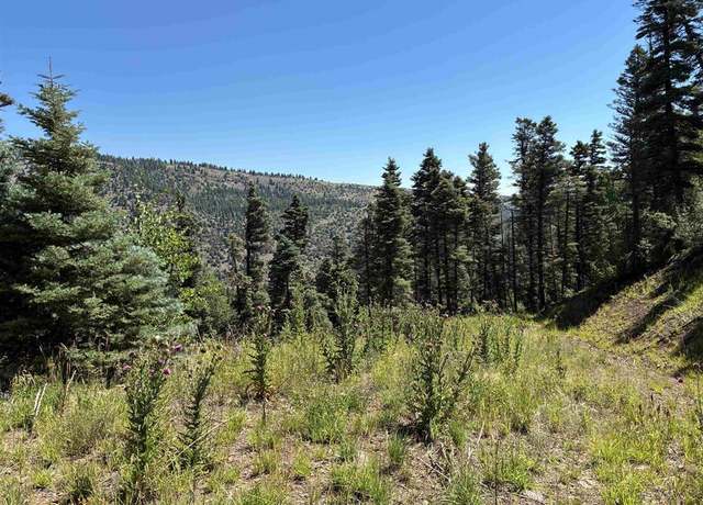 Property at 1435 Clarke Mountain Ln, Antonito, CO 81120
