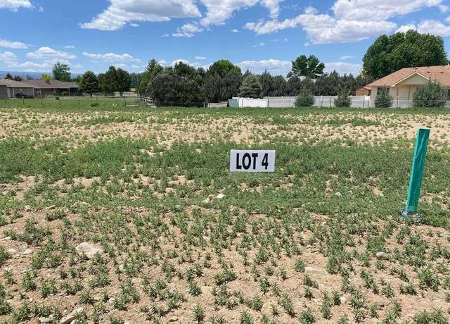 Property at Lot 4 6700 Rd, Montrose, CO 81401