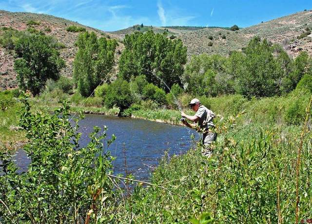 Property at 522 Cebolla River Rd, Powderhorn, CO 81230