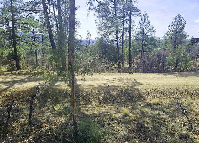 Property at 220 & 248 Rock Point Pl, Pagosa Springs, CO 81147