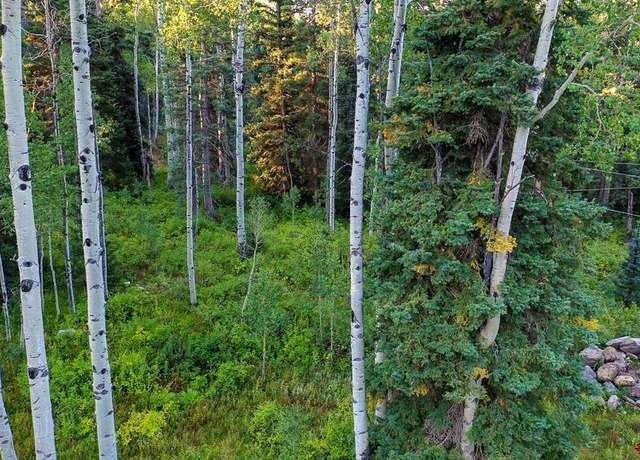 Property at 2278 Sierra Verde Dr, Durango, CO 81301