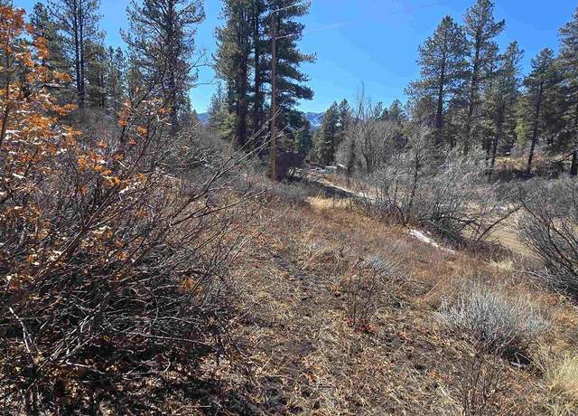 Property at 492 Circle Dr, Pagosa Springs, CO 81147