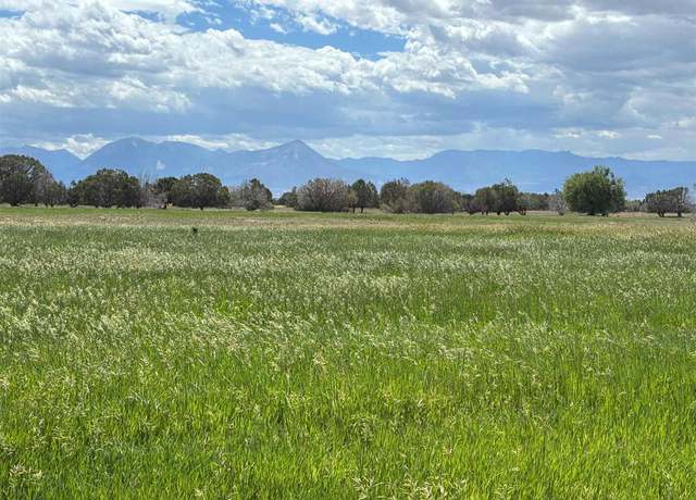Property at TBD Redlands Mesa Rd, Hotchkiss, CO 81419