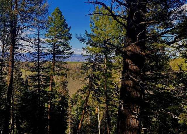 Property at 152 Crest Dr, Cimarron, CO 81220