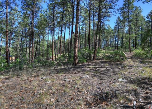 Property at 109 Cabin Creek Dr, Durango, CO 81301