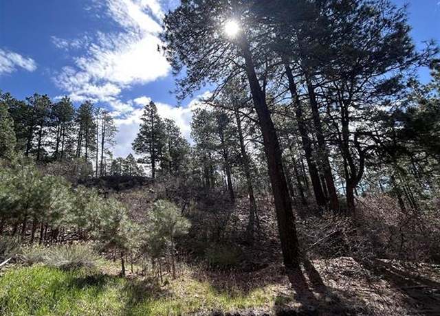 Property at 300 Berry Dr, Bayfield, CO 81122