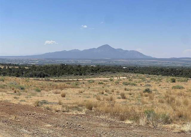 Property at Lot 7 Road 25, Dolores, CO 81323