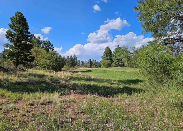 Property at 1305 Trails Blvd, Pagosa Springs, CO 81147