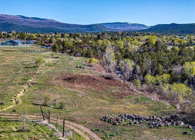 Property at TBD NE Fir St, Cedaredge, CO 81413