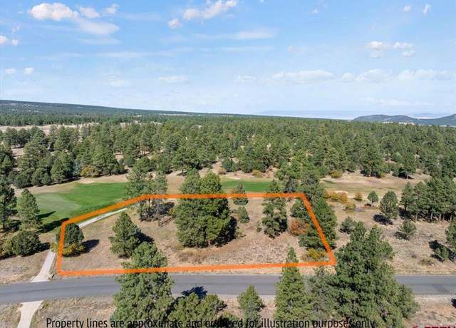 Property at Lot 536 N Badger Trl, Ridgway, CO 81432