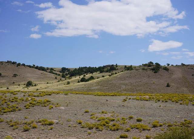 Property at 496 E Pfieffer Loop, South Fork, CO 81154