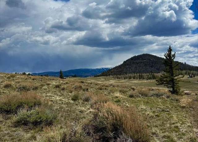 Property at 230 Castle Cir, Powderhorn, CO 81243