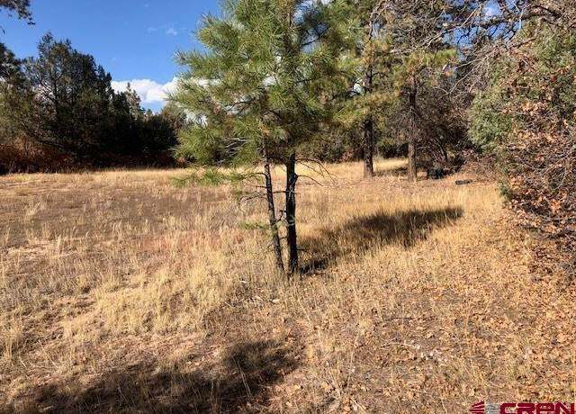 Property at 101 George's Ct, Pagosa Springs, CO 81147