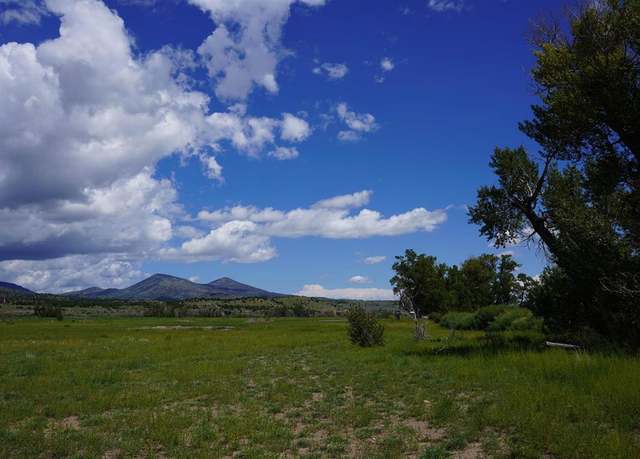 Property at 1690 River Island Dr, South Fork, CO 81154