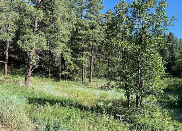Property at 916A Easy St, Pagosa Springs, CO 81147