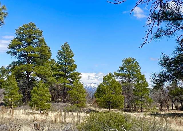 Property at 21 Eiffel Ct, Pagosa Springs, CO 81147