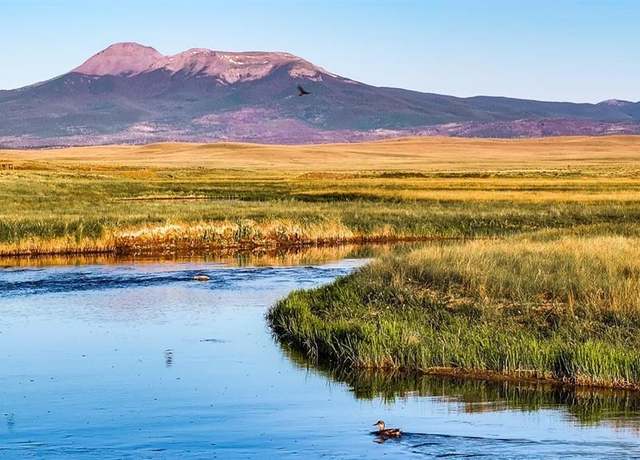 Property at 30341 Highway 9 Unit Sportsman's Ranch, Hartsel, CO 80449