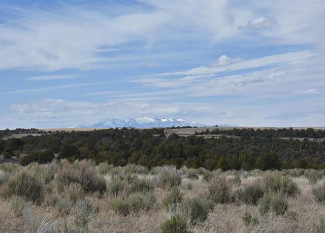 Property at 11425 Road 6.5, Cahone, CO 81320
