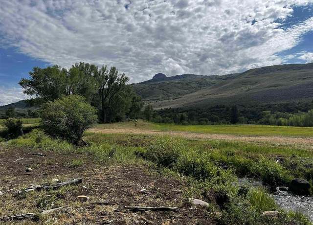 Property at TBD County 864 Aka Little Cimarron Rd, Cimarron, CO 81230