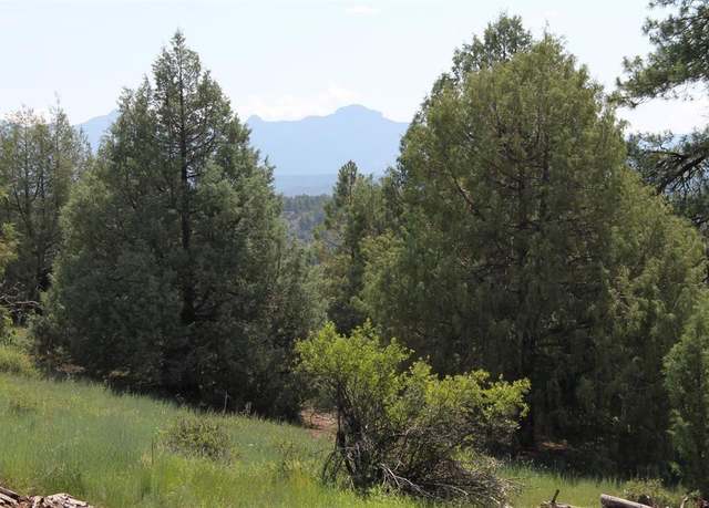 Property at 600 Engleman Pl, Pagosa Springs, CO 81147