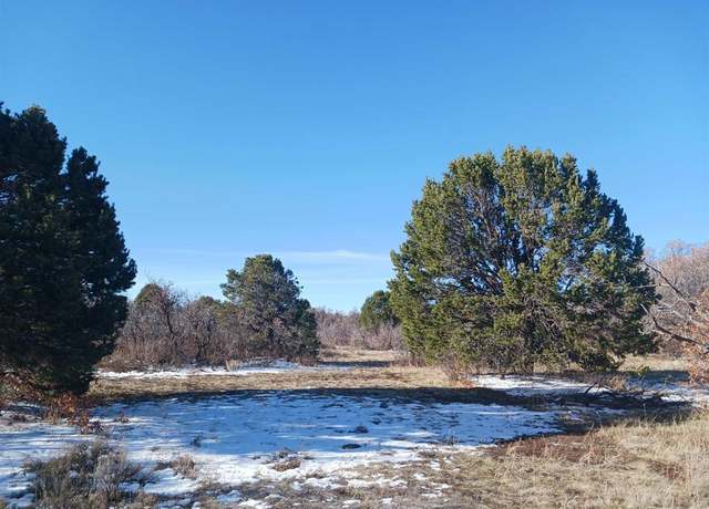 Property at TBD North Avalon Dr, Norwood, CO 81423