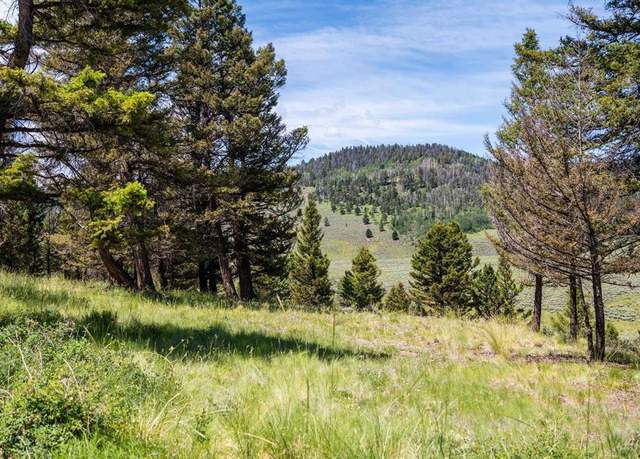 Property at 1021 Slumgullion Trl, Powderhorn, CO 81243