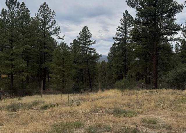 Property at 520 Hilltop, Pagosa Springs, CO 81147
