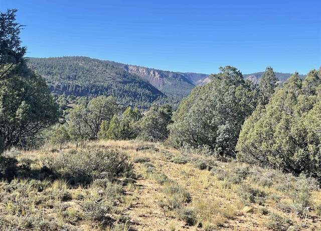 Property at X Riverview Dr, Pagosa Springs, CO 81147