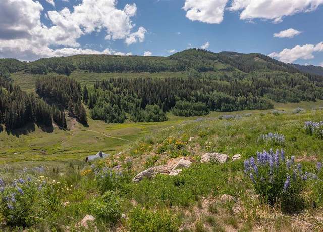 Property at 351 Meadow Dr, Crested Butte, CO 81224