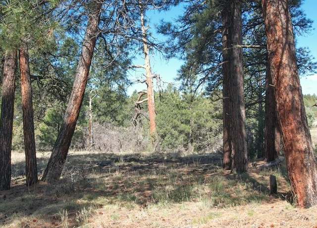 Property at 3169 Meadows Dr, Pagosa Springs, CO 81147