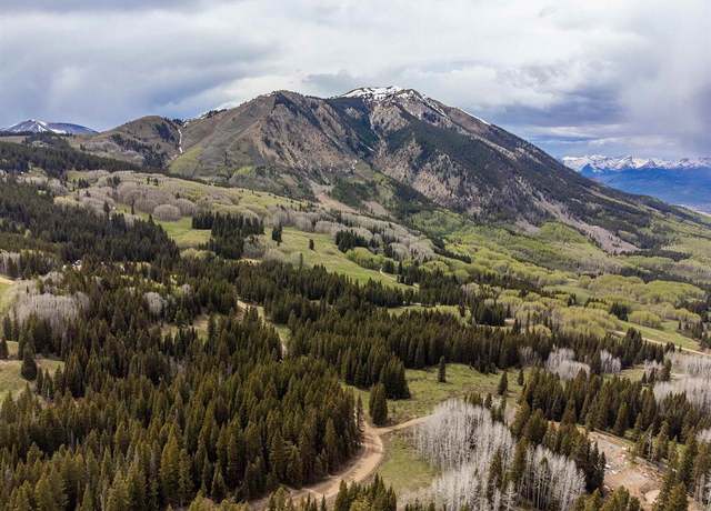 Property at 1250 Red Mountain Ranch Upper Loop, Crested Butte, CO 81224