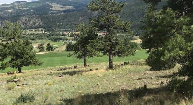 Photo of 0 Ellingwood Dr, South Fork, CO 81154
