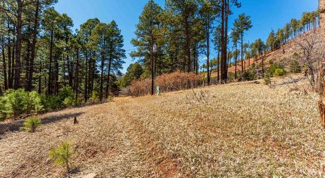 Photo of 113 Pine Dr, Bayfield, CO 81122