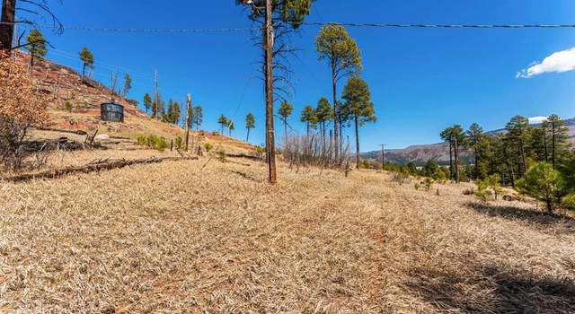 Photo of 103 Pine Dr, Bayfield, CO 81122