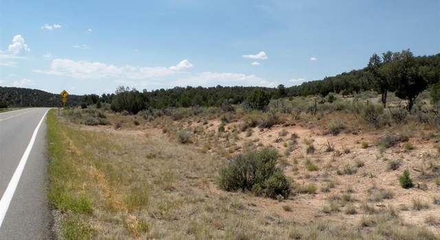 Photo of West side Highway 141, Naturita, CO 81422